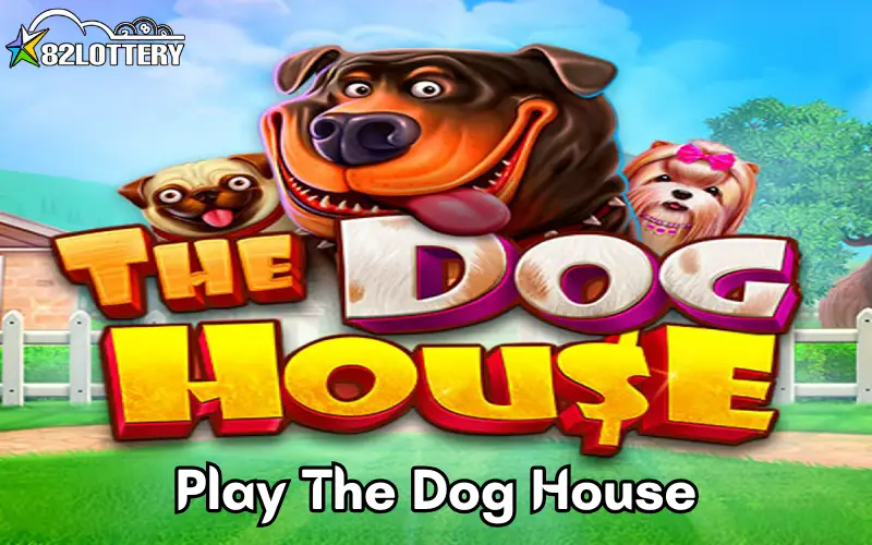 the dog house